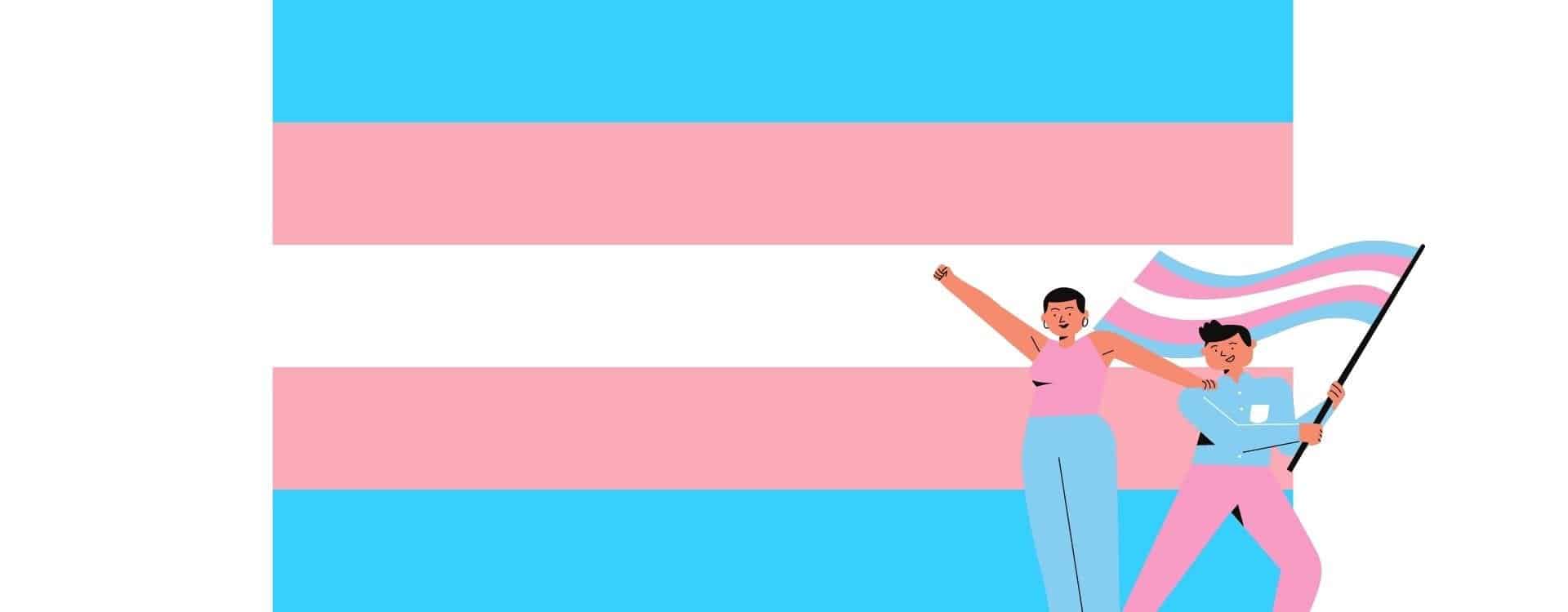 rainbow flag : Transgender flag